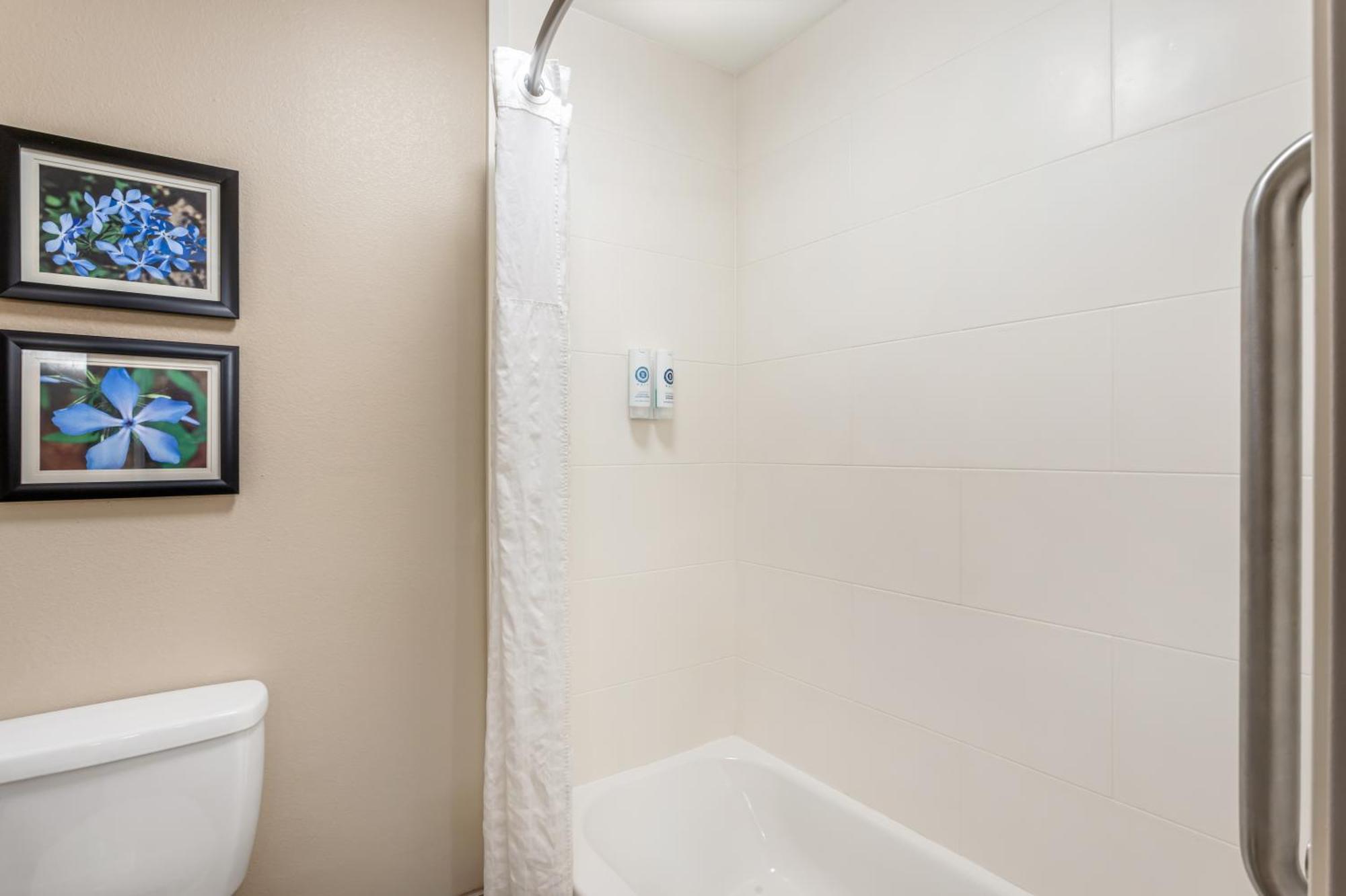 Comfort Inn & Suites Conway Bagian luar foto