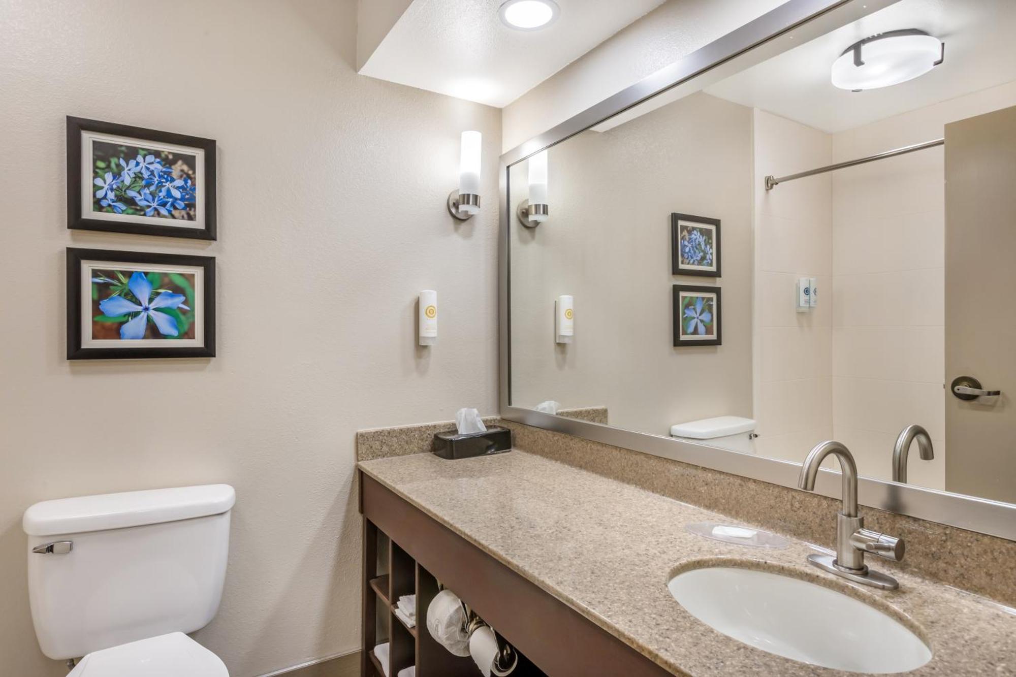 Comfort Inn & Suites Conway Bagian luar foto